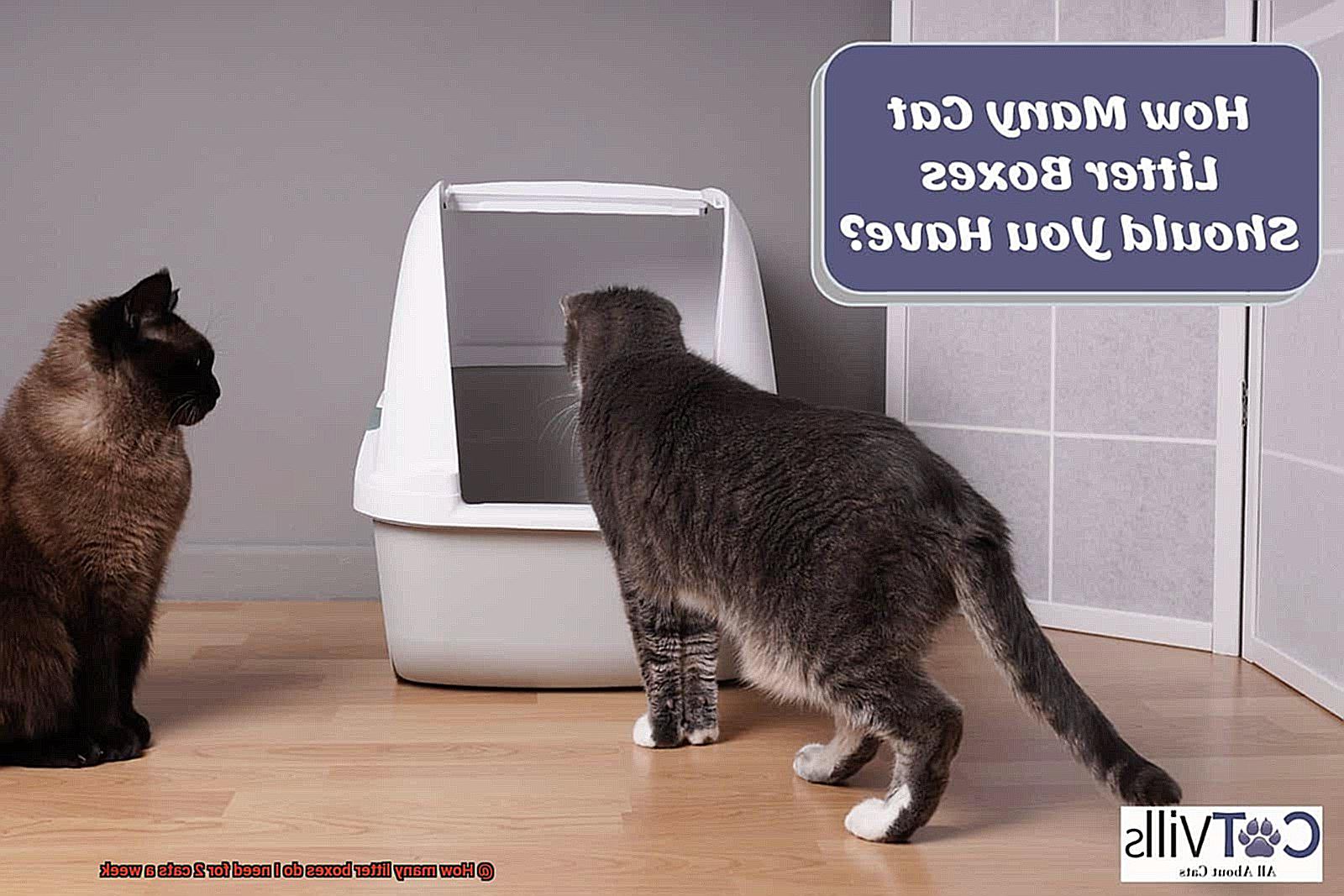 How many litter boxes do I need for 2 cats a week-7