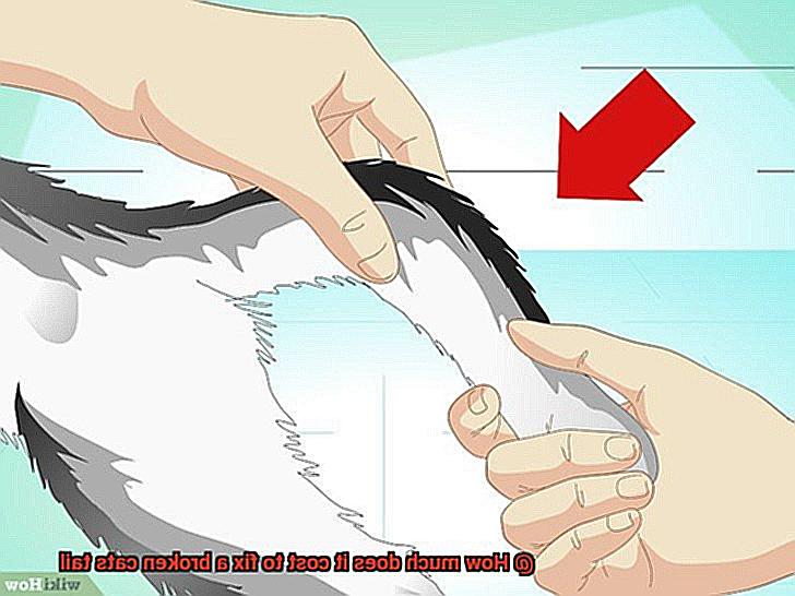 How much does it cost to fix a broken cats tail-3