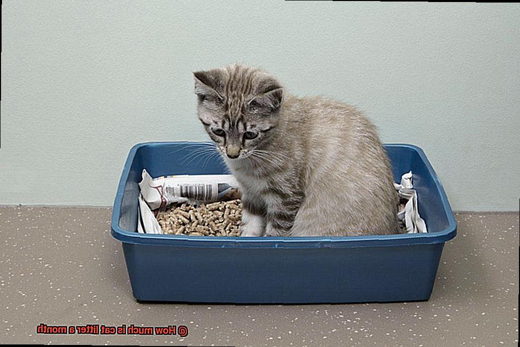 How much is cat litter a month-7