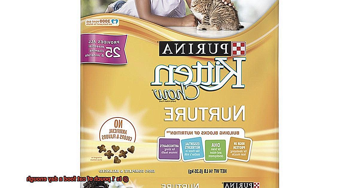 Is 1 pouch of cat food a day enough-2