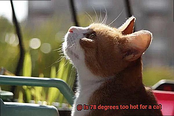 Is 78 degrees too hot for a cat-5