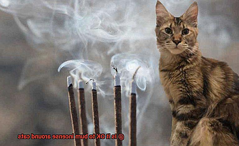 Is it OK to burn incense around cats-5