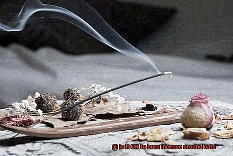 Is it OK to burn incense around cats-7