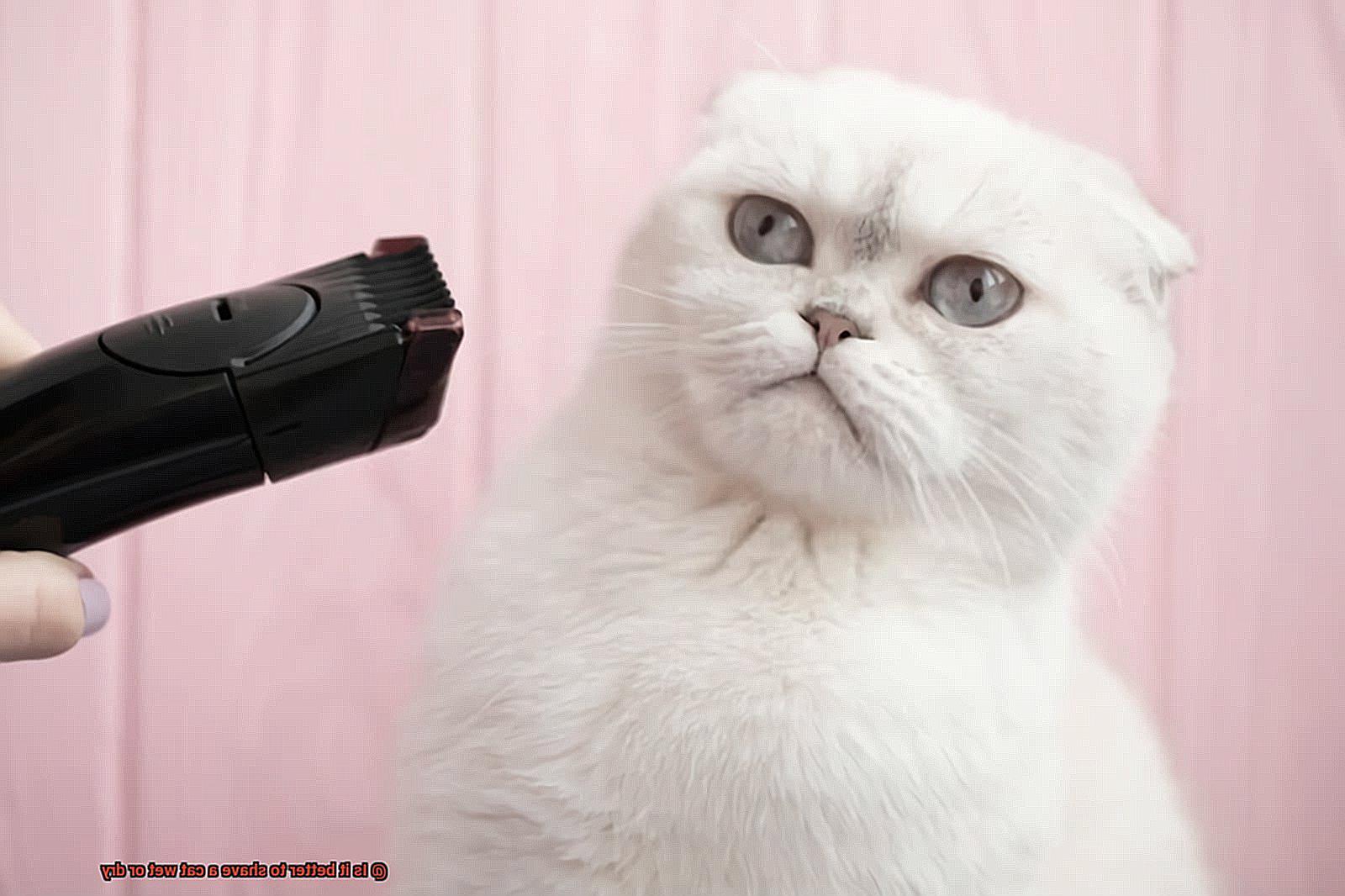Is it better to shave a cat wet or dry-2