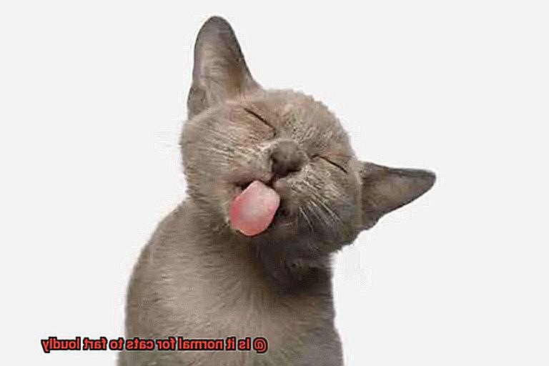 Is it normal for cats to fart loudly-2