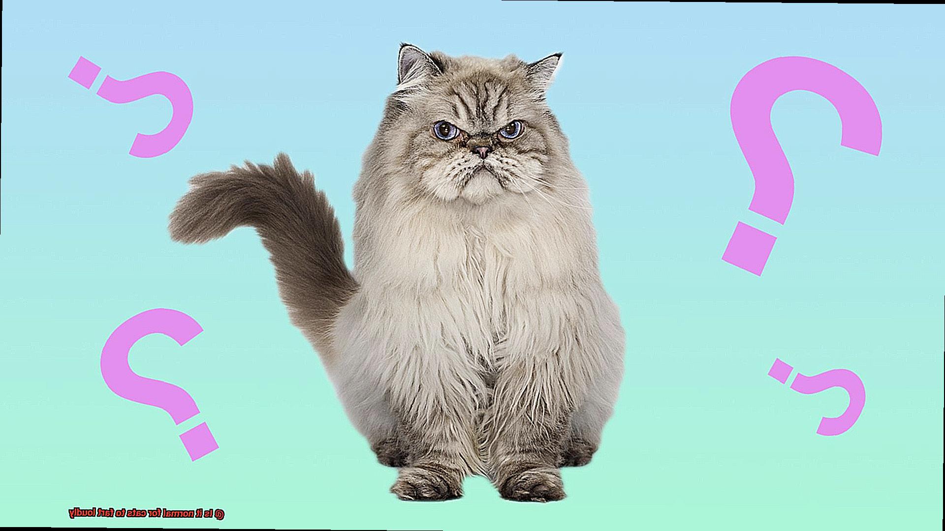 Is it normal for cats to fart loudly-7