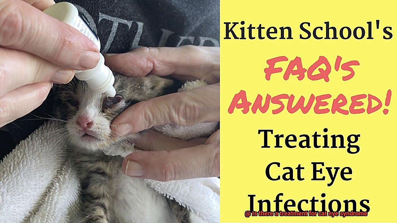 Is there a treatment for cat eye syndrome-4