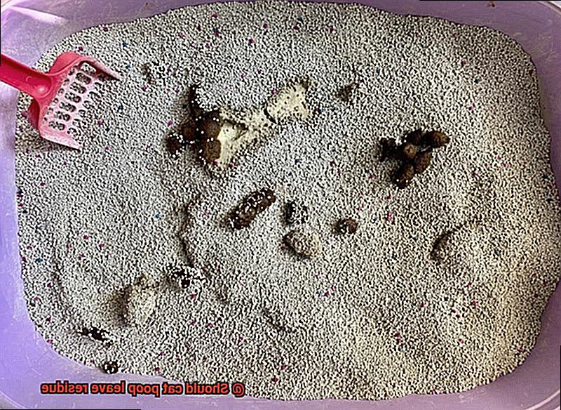Should cat poop leave residue-3