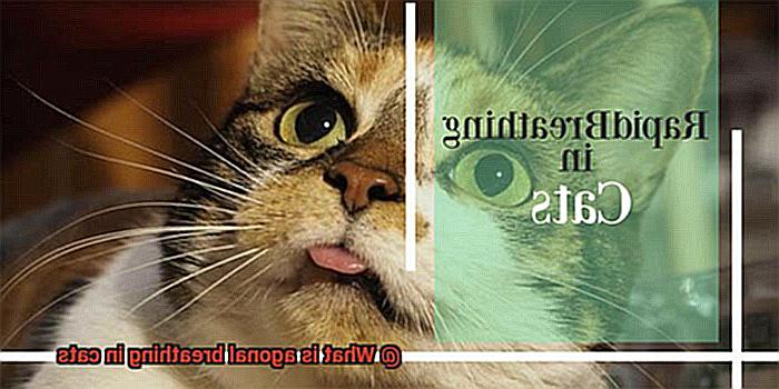What is agonal breathing in cats-2