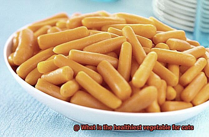 What is the healthiest vegetable for cats-4