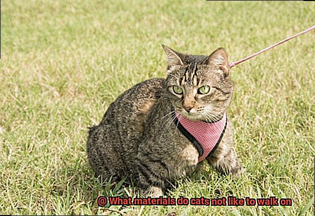 What materials do cats not like to walk on-3