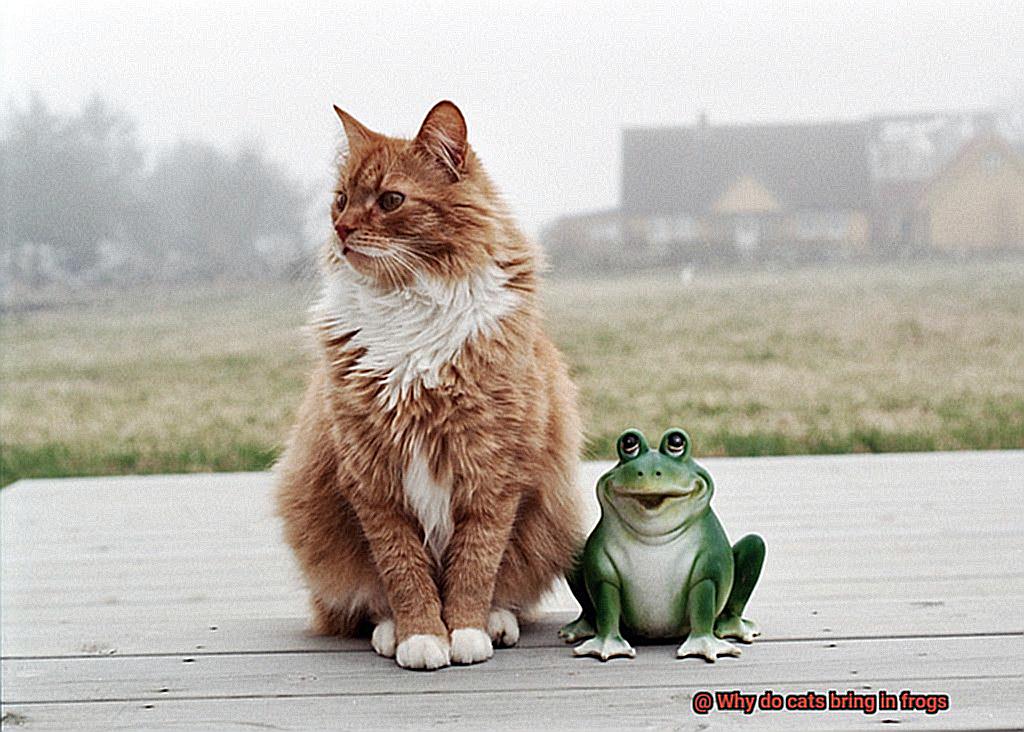 Why do cats bring in frogs-2