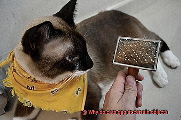 Why do cats gag at certain objects-6