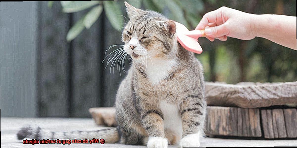 Why do cats gag at certain objects-4