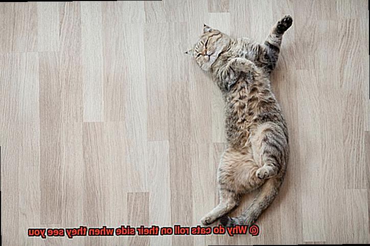 Why do cats roll on their side when they see you-3