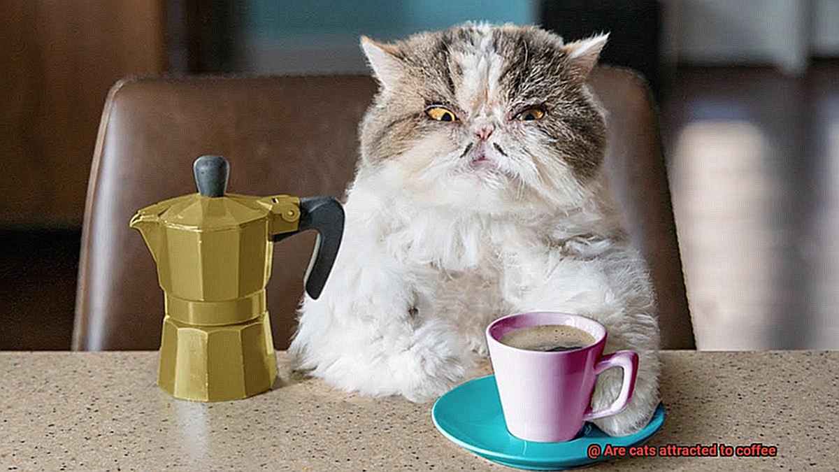 Are cats attracted to coffee-5