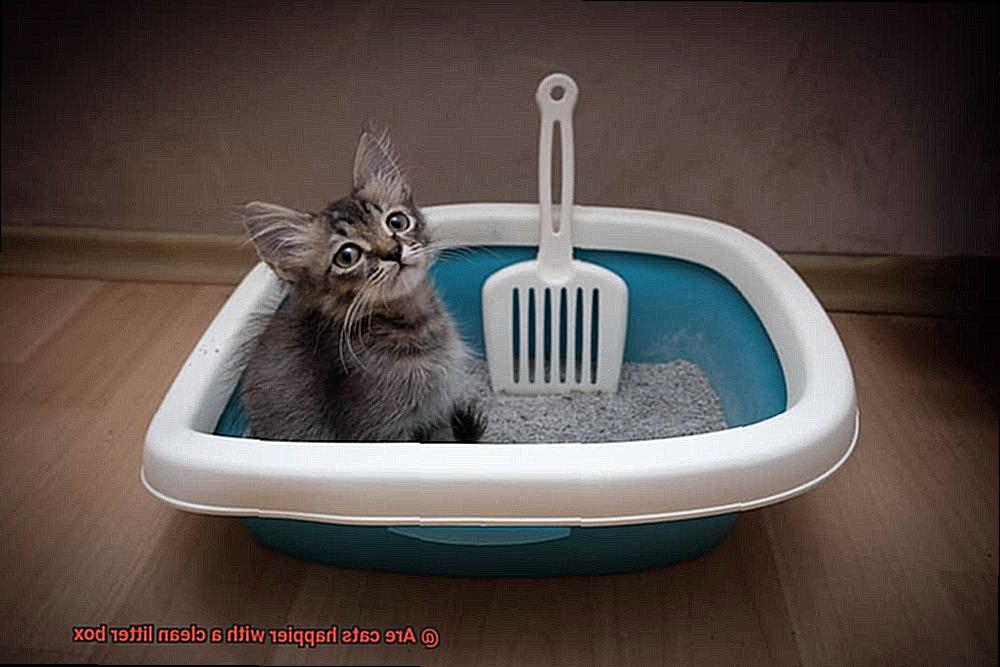 Are cats happier with a clean litter box-2