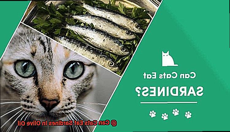 Can Cats Eat Sardines In Olive Oil-3