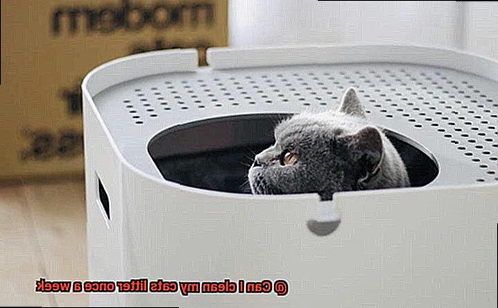 Can I clean my cats litter once a week-4
