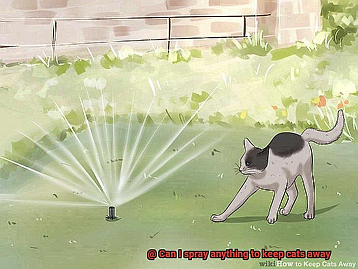 Can I spray anything to keep cats away-3