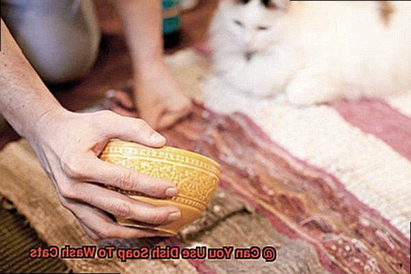 Can You Use Dish Soap To Wash Cats-4