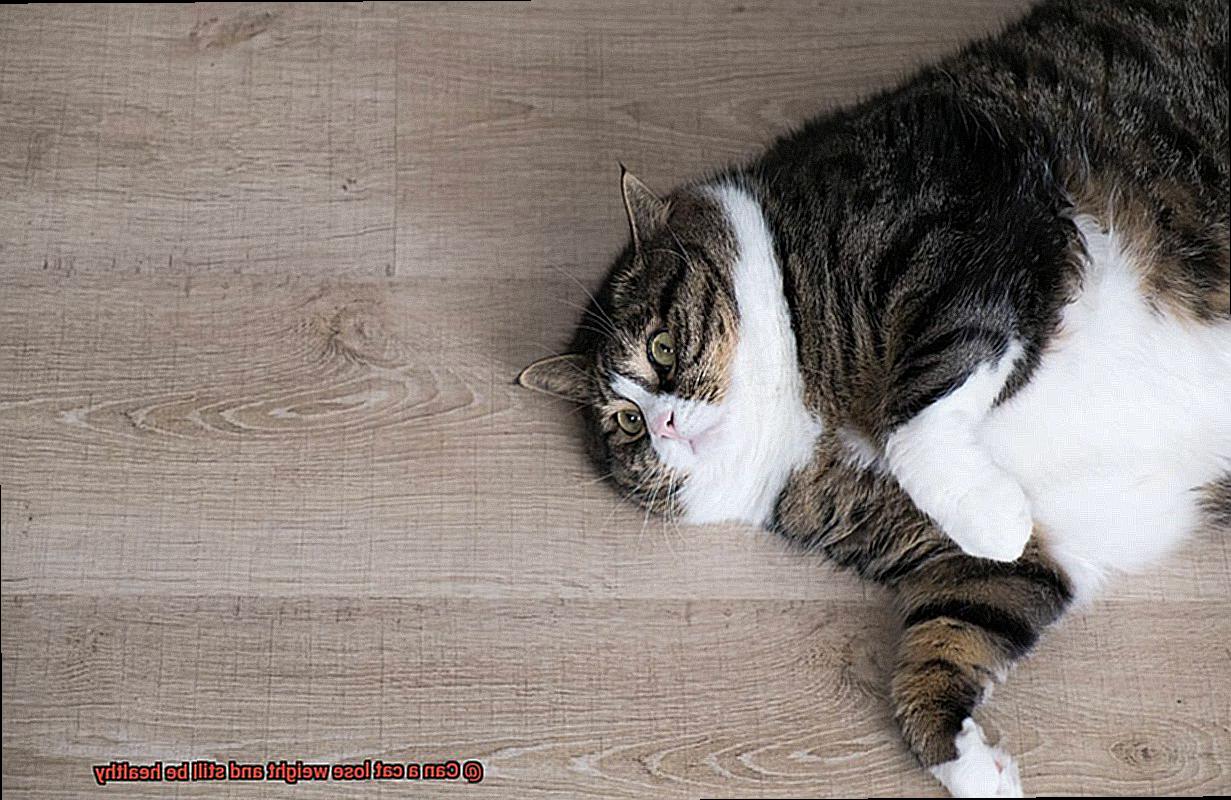Can a cat lose weight and still be healthy-3