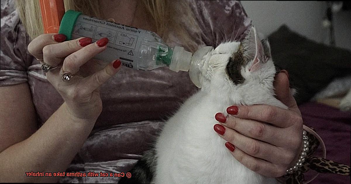 Can a cat with asthma take an inhaler-2