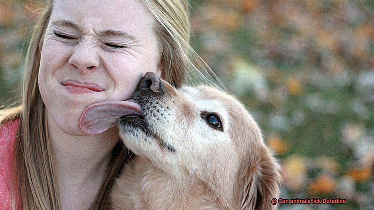 Can animals lick Betadine-3