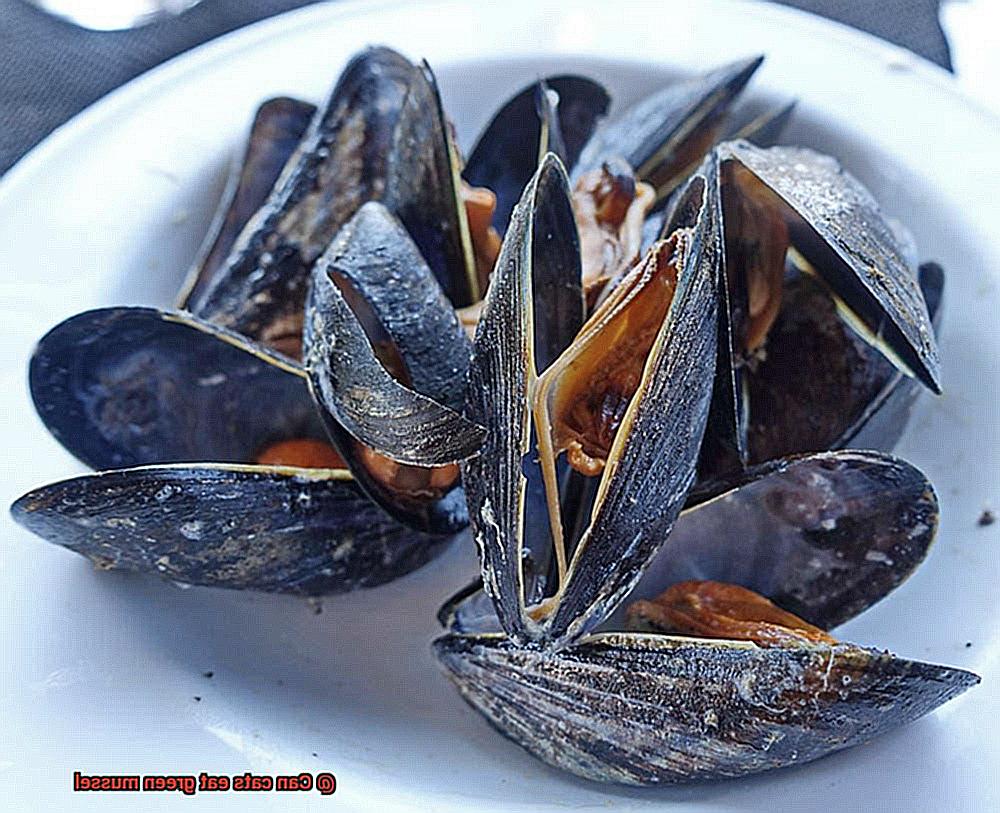 Can cats eat green mussel-3