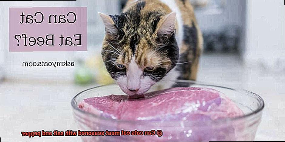 Can cats eat meat seasoned with salt and pepper-3
