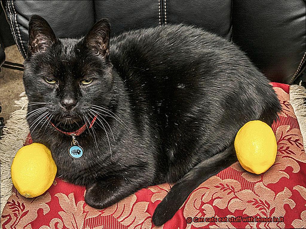 Can cats eat stuff with lemon in it-4