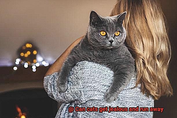 Can cats get jealous and run away-2