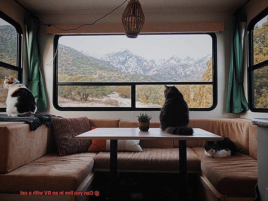 Can you live in an RV with a cat-4