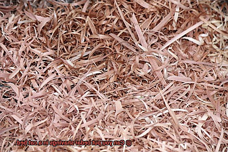 Can you put cedar shavings in a cat bed-2