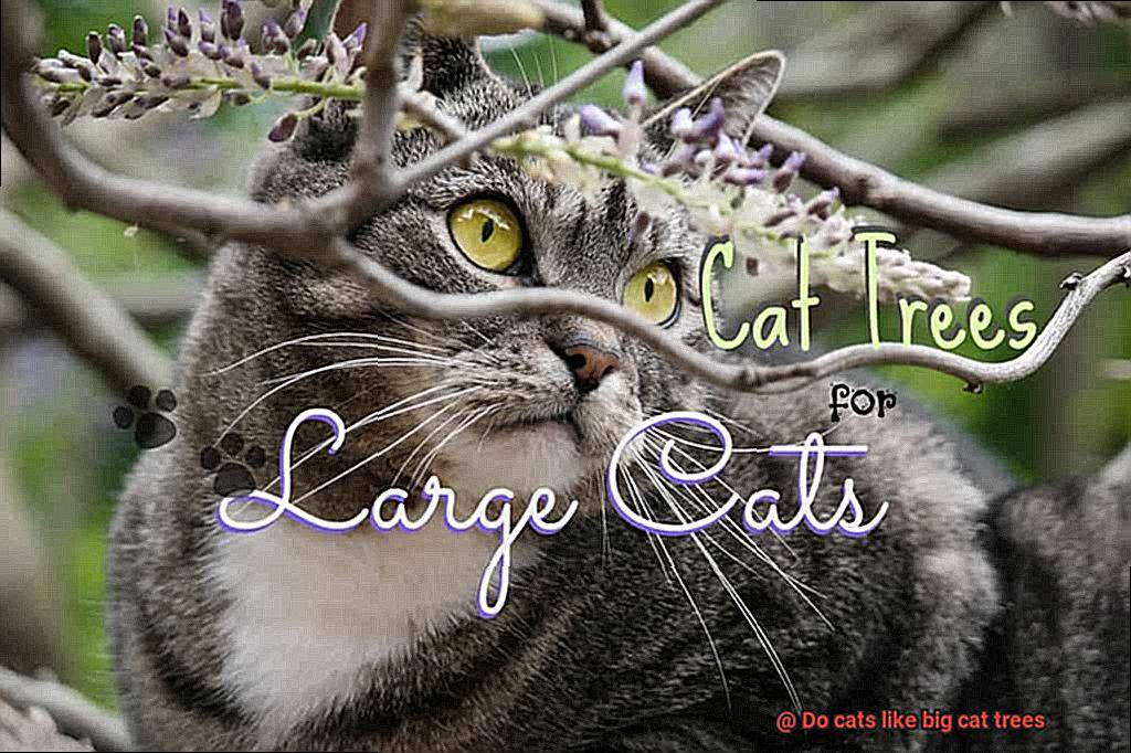 Do cats like big cat trees-2