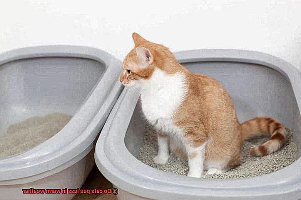 Do cats pee less in warm weather-4