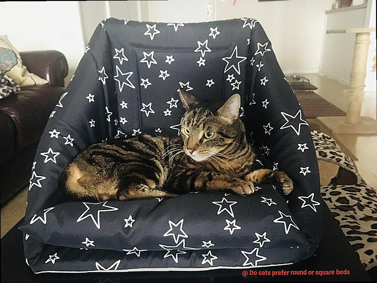 Do cats prefer round or square beds-2