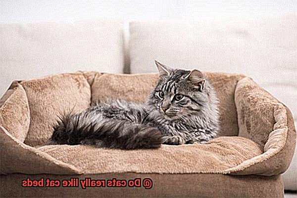 Do cats really like cat beds-4