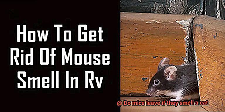 Do mice leave if they smell a cat-4