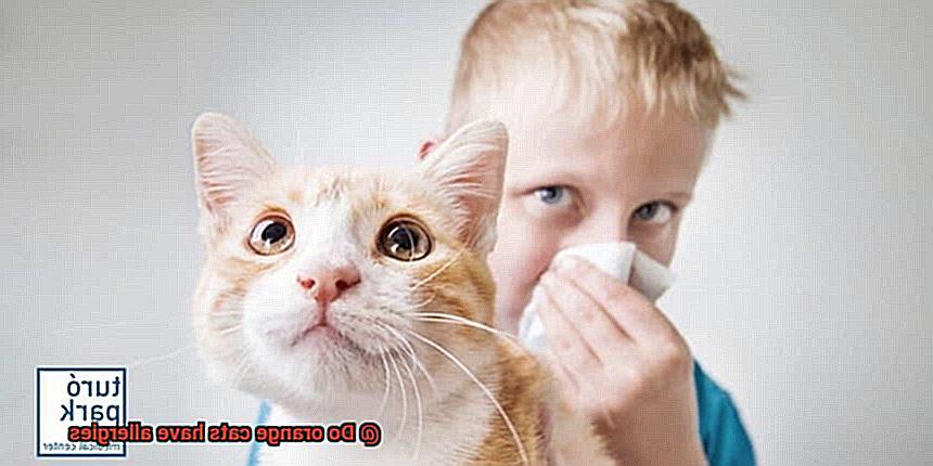 Do orange cats have allergies-3
