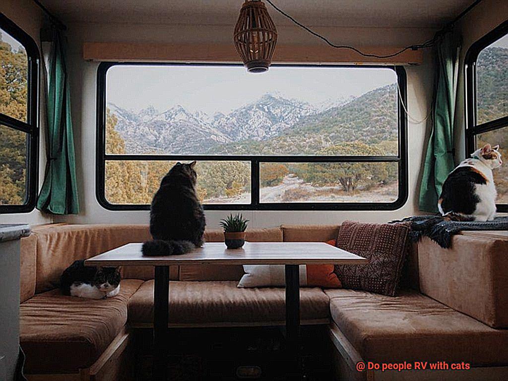 Do people RV with cats-2