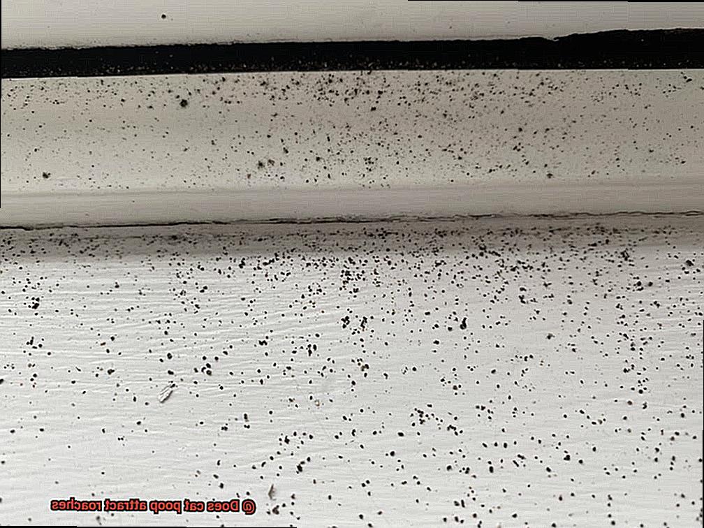 Does cat poop attract roaches-2