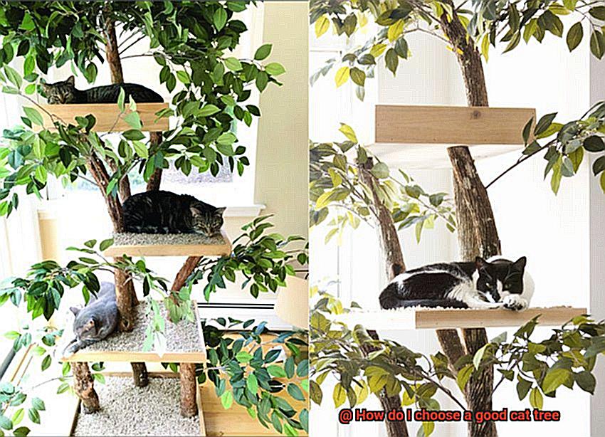 How do I choose a good cat tree-3