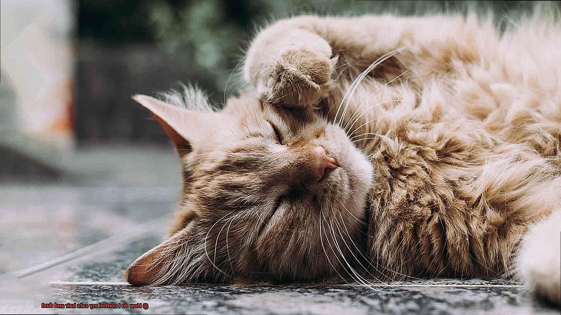 How do I control my cats hair and dust-2