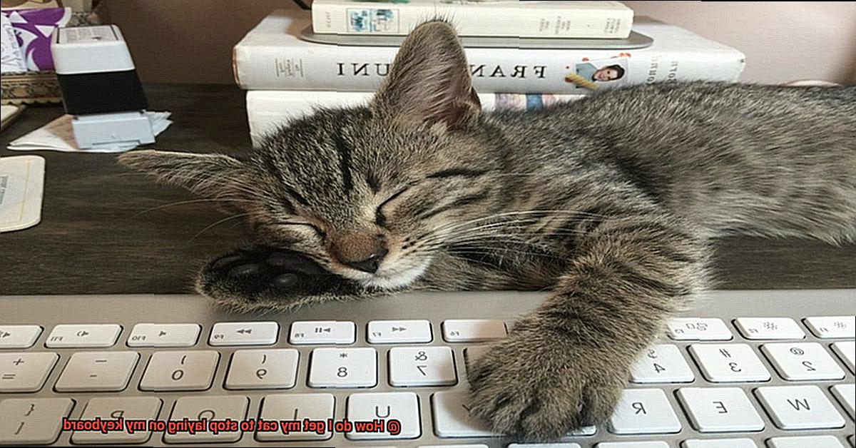 How do I get my cat to stop laying on my keyboard-2