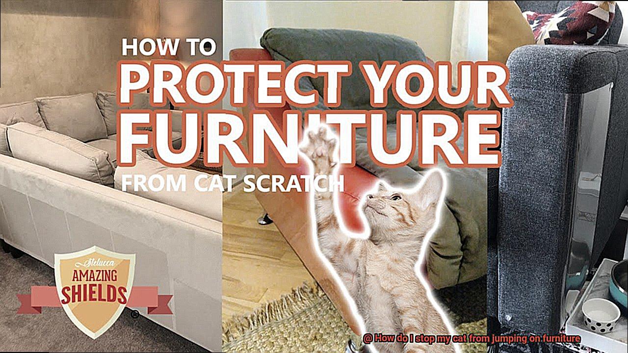 How do I stop my cat from jumping on furniture-3