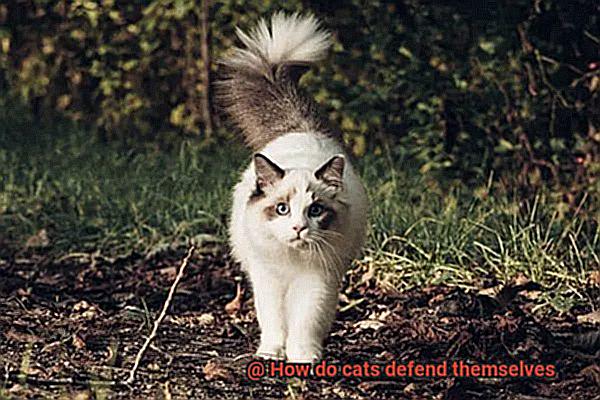 How do cats defend themselves 8535122372