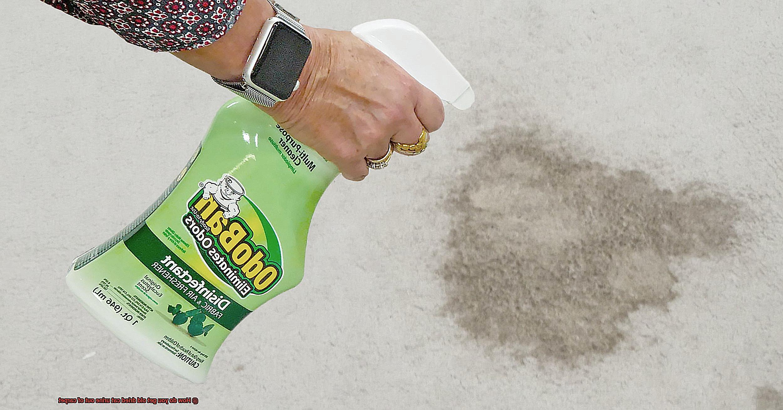 How do you get old dried cat urine out of carpet-2