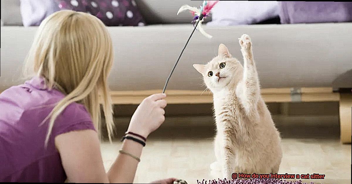 How do you interview a cat sitter-3