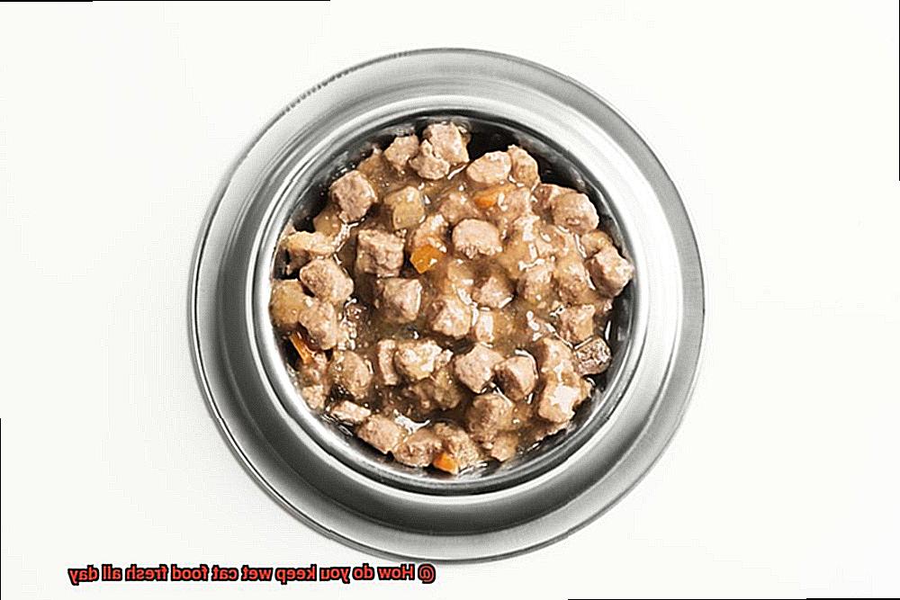 How do you keep wet cat food fresh all day-3